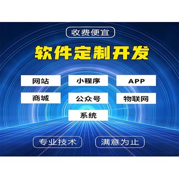 江西南昌 企業軟件開發與數字化解決方案的領航者